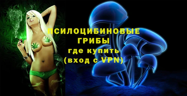 стафф Абинск