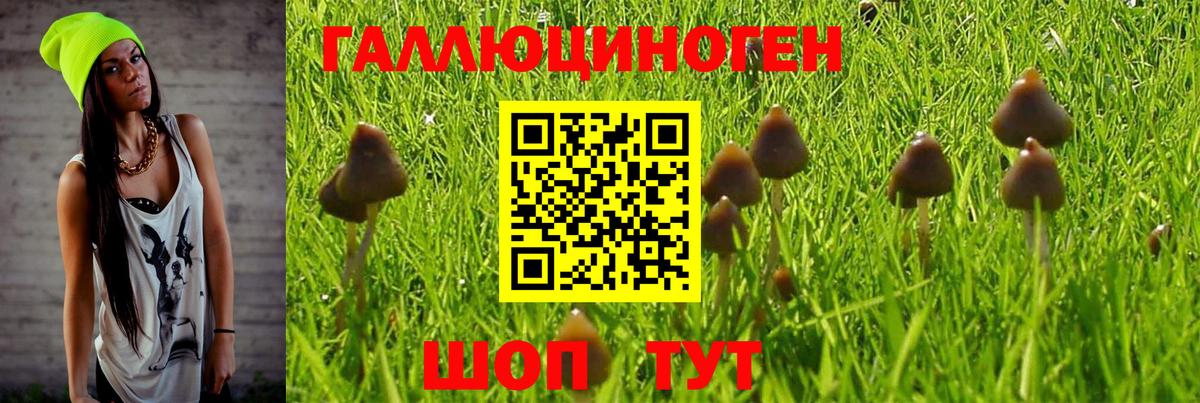 Псилоцибиновые грибы мухоморы  Вход с VPN  Лесозаводск 